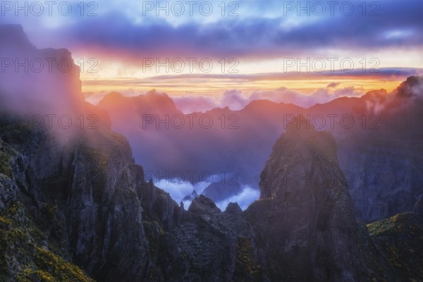 Mountains on sunset covered in fog and clouds with blooming Cytisus shrubs. Near Pico de Arieiro, Madeira island, Portugal, Europe