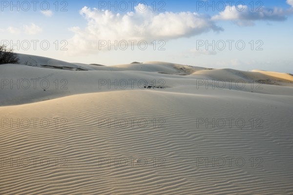 Lonely white sandy beach with dunes, sunrise, Porto Pino, Sardinia, south coast, Italy, Europe