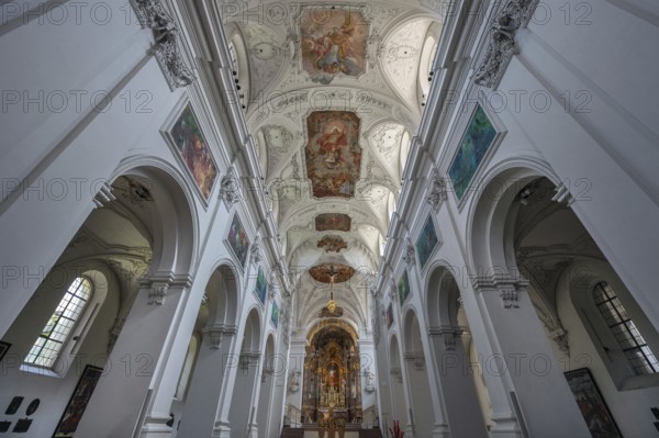 Frescoes on the vaulted ceiling in the centre aisle and chancel, Neumünster, collegiate church, Würzburg, Lower Franconia, Bavaria, Germany, Europe