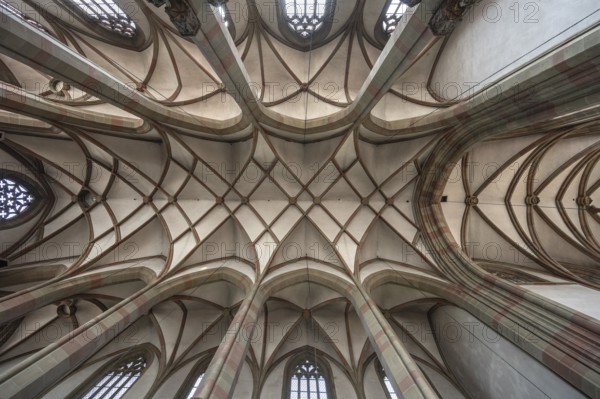 Gothic vaulted ceiling of St Mary's Chapel, Marktplatz 9, Würzburg, Lower Franconia, Bavaria, Germany, Europe