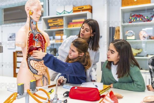 Elementary school teacher and students learning about the human body using an anatomical model in a science classroom
