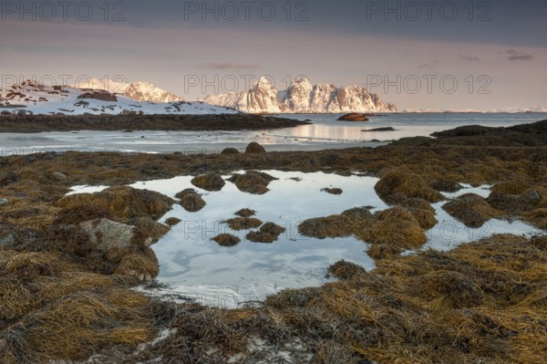 Rugged mountains, Lofoten island Vestvågøya at the fjord Gimsøystraumen, Lofoten, Northern Norway, Norway, Europe