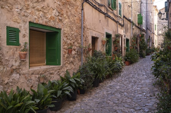 Street of Plants, alley, Valldemossa, Tramuntana Mountains, Serra de Tramuntana, Majorca, Balearic Islands, Balearic Islands, Spain, Europe