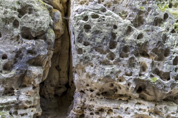 Washed-out sandstone and crevice on the hiking trail to Kleiner Bärenstein, Saxon Switzerland, Saxony, Germany, Europe