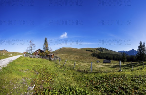 Alpine huts and alpine landscape with a view of the Windkogel, Postalm, Osterhorngruppe, Salzkammergut, Salzburg province, Austria, Europe