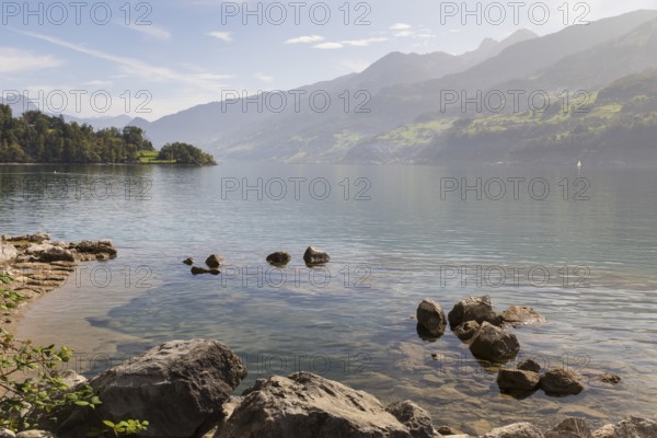 View from the north shore of Lake Walen to the east, Amden, St. Gallen, Switzerland, Europe