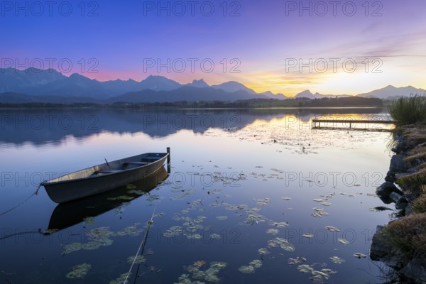 Boats at a jetty on a calm lake at sunset with mountains in the background, Hopfensee, Hopfen am See, Ostallgäu, Allgäu, Swabia, Bavaria, Germany, Europe