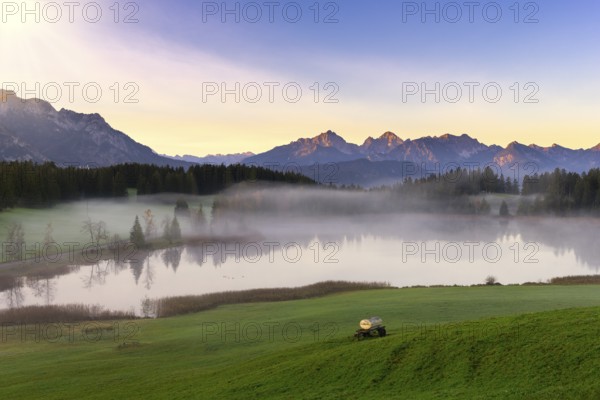 Mountain landscape with lake in the morning mist, clear atmosphere and soft lighting, Hegratsrieder See near Füssen, Ostallgäu, Allgäu, Bavaria, Germany, Europe