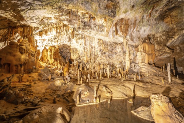 Breathtaking view of illuminated stalactites and stalagmites formations inside postojna cave, a famous tourist attraction in slovenia