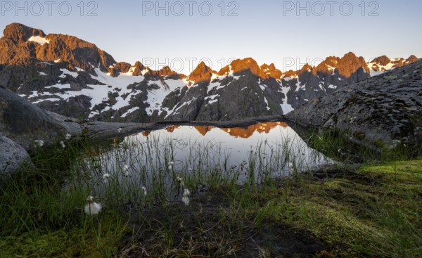 Rocky mountain peaks with reflection, small pond with cotton grass in moor landscape at Trollfjord Hytta, mountain landscape with alpenglow at sunrise, at Trollfjord, Lofoten and Vesterålen, Nordland, Norway, Europe