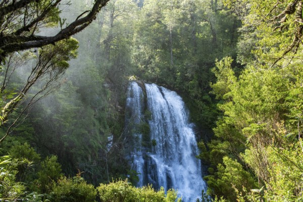 Waterfall in the jungle, Pumalin-Douglas Tompkins National Park, Chaiten, Los Lagos region, Patagonia, Chile, South America