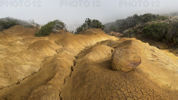 Yellow soil and rocks, erosion, near Arguamul, La Gomera, Canary Islands, Spain, Europe