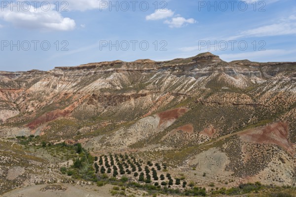 Erosion landscape with different colour layers in an arid environment, Discordancia Anqular de Gorafe, Gorafe Angular Discordance, Gorafe Desert, Granada, Andalusia, Spain, Europe