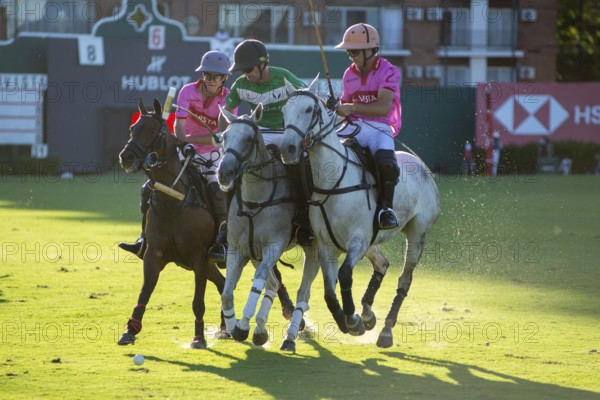 Scene from the 131st Argentine Open Polo Championship (Spanish: Campeonato Argentino Abierto de Polo), the most important international polo tournament, match between la Natividad (green) and Indios Chapaleufú Vista Energy (pink), on 23 November 2024, Palermo, Buenos Aires, Argentina, South America