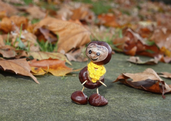 Funny chestnut figure with yellow scarf on a wall in autumn leaves, North Rhine-Westphalia, Germany, Europe