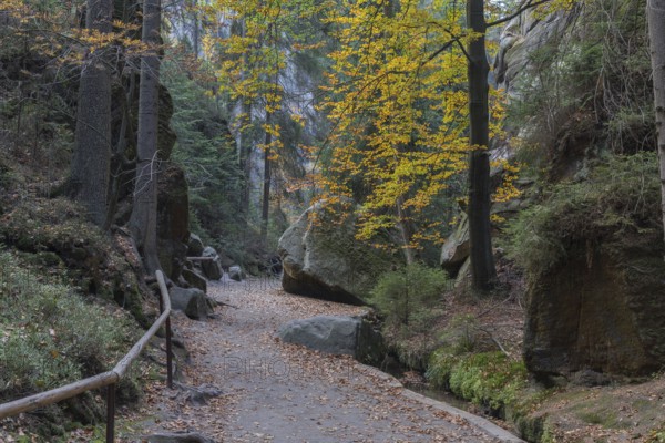 Path through the rocks at Adršpach-Teplice Rocks on a sunny day in autumn, Dolní Adršpach, 549 57 Adersbach, CZ