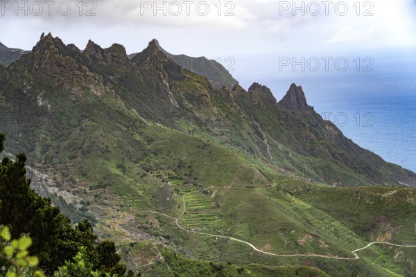 Landscape on the coast in the Anaga Mountains near Taganana, Tenerife, Canary Islands, Spain, Europe