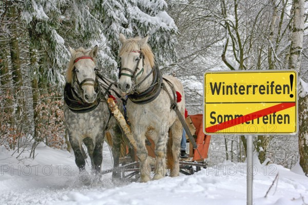 Humour picture, winter tyre sign, horse-drawn sleigh in the snow, attention sign, joke, irony