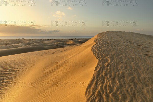 Dunes of Maspalomas, Maspalomas, Gran Canaria, Canary Islands, Spain, Maspalomas, Gran Canaria, Canary Islands, Spain, Europe