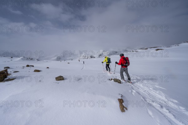 Ski tourers on the descent, snow-covered mountain landscape, Ortler Alps, Vinschgau Valley, Italy, Europe