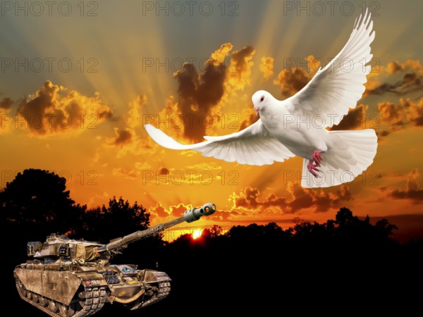 Symbolic image, dove of peace, peoples, international understanding, peace, threat of war, freedom, border conflicts, secure borders, humanism, democracy, aggressor, security, weapons, armament, armour, imminent danger