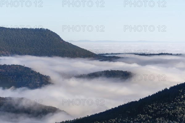 Sea of clouds over the plain. High Rhine, Vosges, Alsace, France, Europe