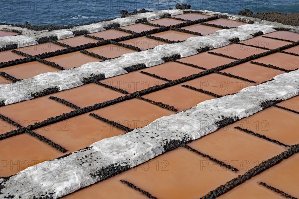 Salt pans with reddish water basins in a geometric arrangement near the sea, salt pans, Fuencialente, La Palma, Canary Islands, Spain, Europe