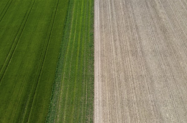 Drone view, green and ploughed fields, agricultural landscape, Innviertel, Upper Austria, Austria, Europe