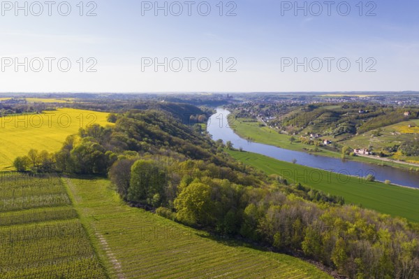 Aerial view of the Elbe valley with vineyards between Coswig and Meißen, Saxon Elbland, Saxony, Germany, Europe