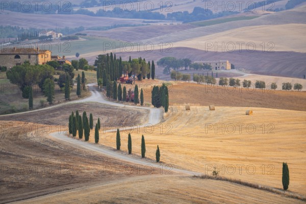 Typical Tuscan landscape in Val d'Orcia with hills, trees, fields, cypresses and farm road in autumn, sunset, gladiator film location, San Quirico d'Orcia, Val d'Orcia, Orcia Valley, UNESCO World Heritage Site, Siena Province, Tuscany, Italy, Europe