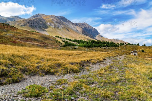 France, Alps, Départements Hautes-Alpes and Alpes-de-Haute-Provence, view of pass Col de Vars, Route des Grandes Alpes, travel landscape nature, Europe