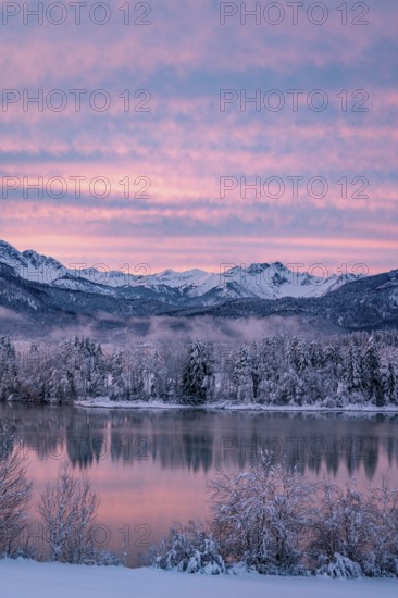 Dawn and sunrise at the wintry Forggensee in a snow-covered winter landscape in the foothills of the Alps in the Allgäu in Bavaria, Germany, Europe