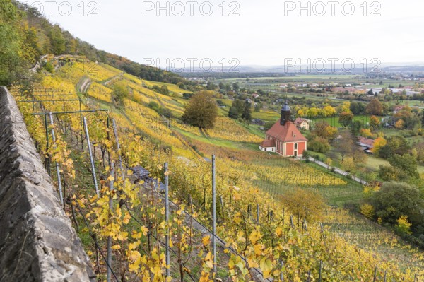 Vineyard church Zum Heiligen Geist in the middle of the autumn-coloured vineyards of Pillnitz, Dresden, Saxony, Germany, Europe