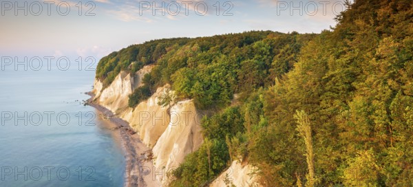 View from the high shore of the chalk cliffs on the Baltic Sea and beech forest in the morning light, Jasmund National Park, Rügen Island, Mecklenburg-Western Pomerania, Germany, Europe