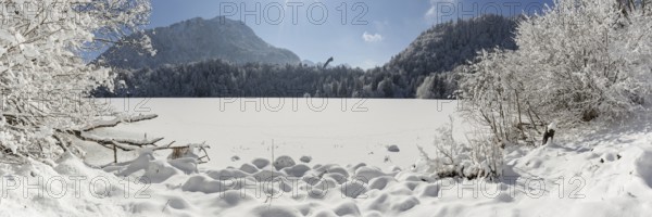 Freibergsee in winter, near Oberstdorf, behind it the Himmelschrofen, 1791m, and the Heini-Klopfer ski jump, Allgäu Alps, Oberallgäu, Allgäu, Bavaria, Germany, Europe