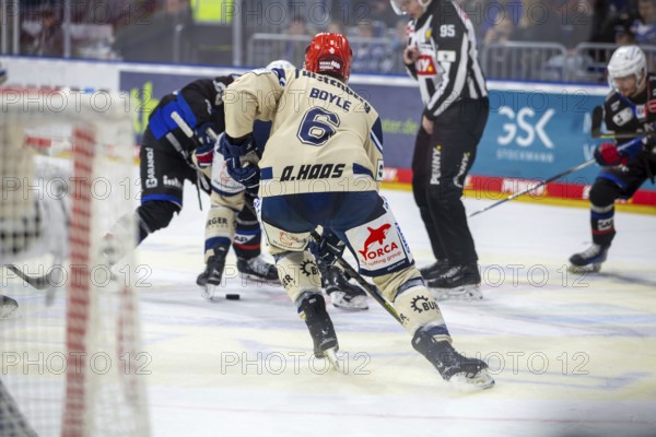 DEL, German Ice Hockey League 2024/25 season, matchday 38: Adler Mannheim vs Schwenninger Wild Wings