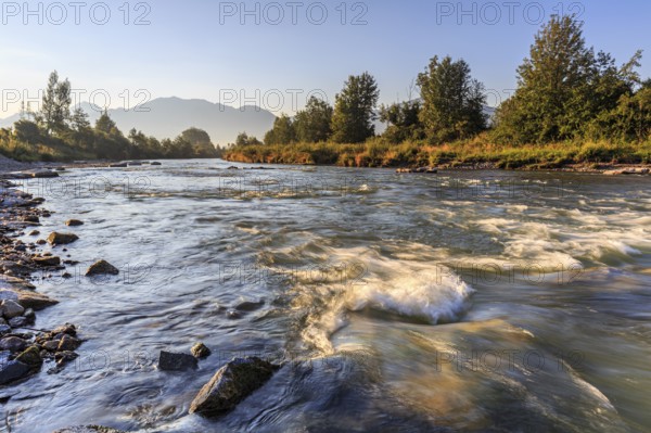 Rapids in a river, morning light, mountains, long exposure, Loisach, near Großweil, Bavaria, Germany, Europe