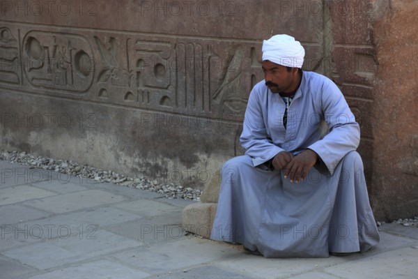 Temple of Luxor, guardians in the temple complex, Africa, Egypt, UNESCO World Heritage Site, Africa