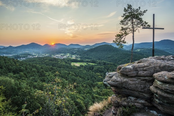 Sandstone rock with pine tree and summit cross, Rötzenfelsen, sunrise, Gossersweiler-Stein, Palatinate Forest, Palatinate Forest, Rhineland-Palatinate, Germany, Europe