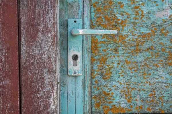 Green wooden door, door handle, Søndervig, Ringkøbing Fjord, Denmark, Europe