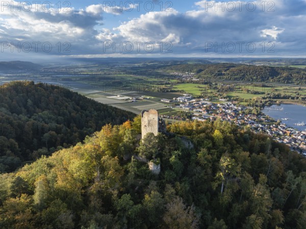 Aerial view of Lake Constance, Überlinger See, with the ruins of Altbodman on the Bodanrück, above the village of Bodman in autumn vegetation, Bodman-Ludwigshafen, district of Constance, Baden-Württemberg, Germany, Europe