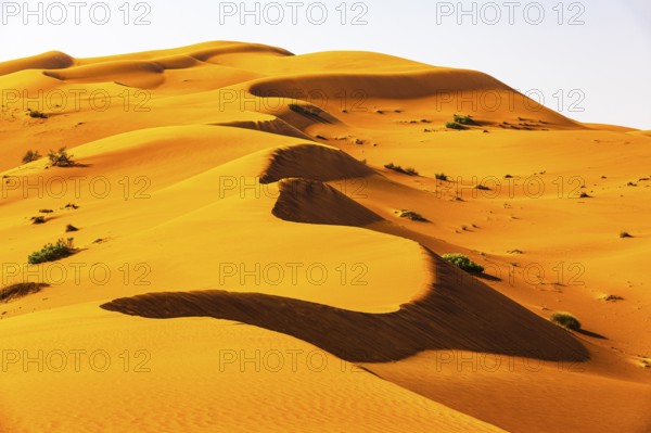 Wind-sculpted curved sand dunes in the Rub al Khali desert, Dhofar province, Arabian Peninsula, Sultanate of Oman