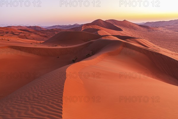 Wind-sculpted sand dunes at sunrise in the Rub al Khali desert, Dhofar province, Arabian Peninsula, Sultanate of Oman