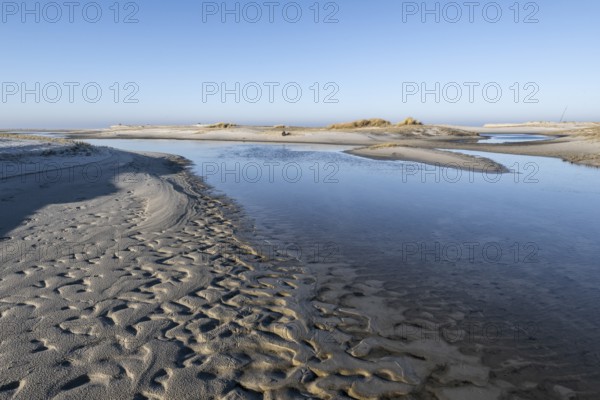 Wadden Sea with dunes, Amrum, Schleswig-Holstein, Germany, Europe