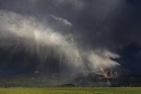 Rainbow, thundercloud, shower, evening light, summer, Loisach-Lake Kochel moor, Kochler mountains, Alpine foothills, Bavaria, Germany, Europe