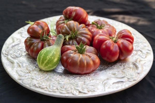Tomatoes, ox hearts and a Vorgebirgstrauben pickled cucumber on a decorative plate on a black background, Baden-Württemberg, Germany, Europe