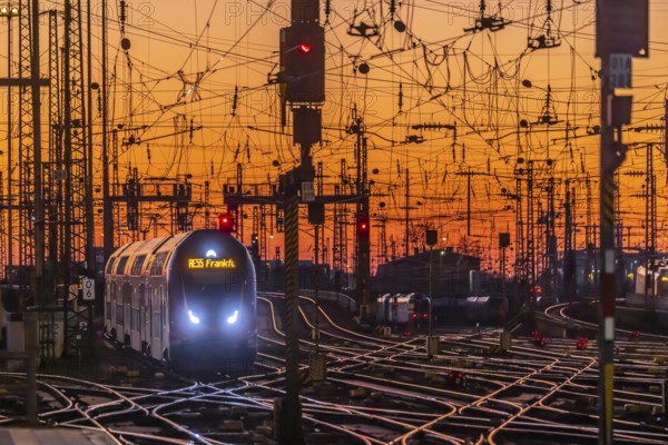 Track apron with trains, rails, points, pylons and signalling systems. Infrastructure at the main station. Sunset. Frankfurt am Main, Hesse, Germany, Europe
