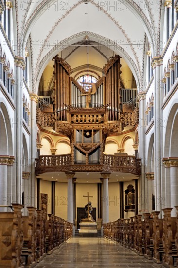 Interior view of Bonn Minster, nave with pulpit and Klais organ in the west apse, Bonn, North Rhine-Westphalia, Germany, Europe