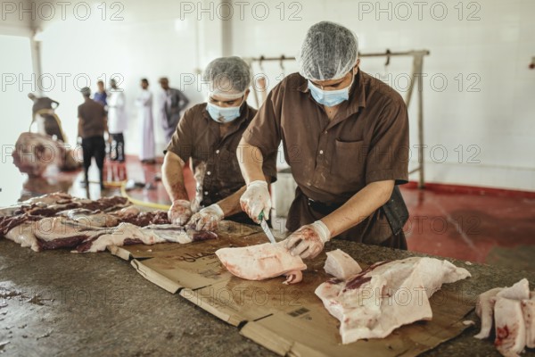 Cutting up a slaughtered dromedary (camelus dromedarius), camel slaughter, Salalah slaughterhouse, Dhofar, Oman, Asia