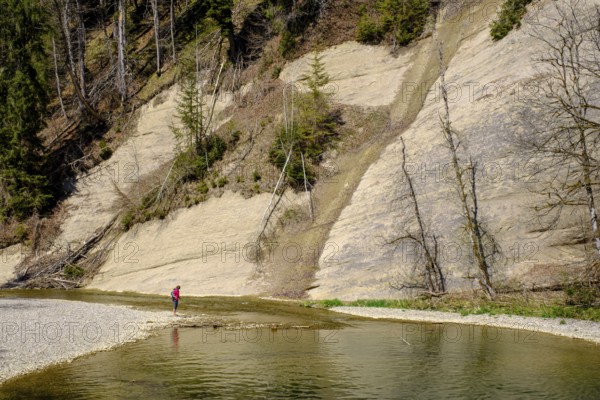 Hiker on the Hohe Wand, Nagelfluh, Eistobel geotope, Obere Argen, near Grünenbach, Allgäu, Swabia, Bavaria, Germany, Europe